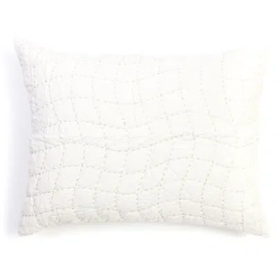 Amity Home Ashton Sham In Silver