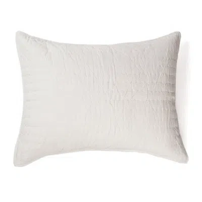 Amity Home Brighton Cotton Sham In Ivory