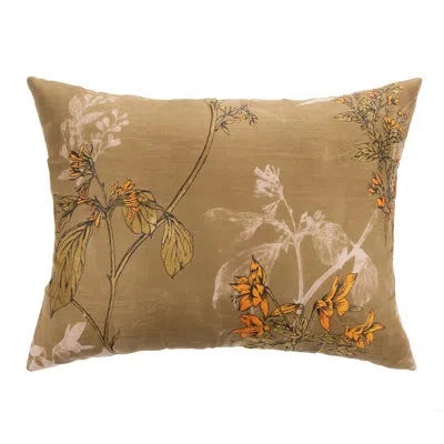 Amity Home Bris Sham In Brown