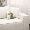 Amity Home Coroco Throw Pillow In Multi