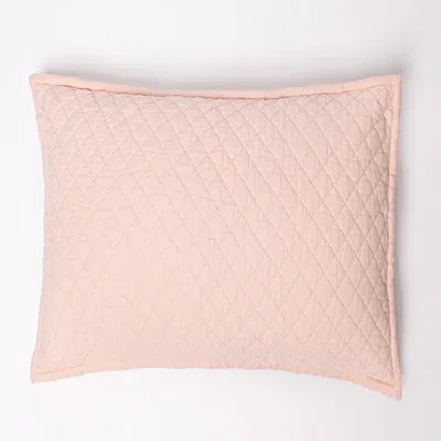 Amity Home Dalen Daki Linen Blend Sham / Color:pink