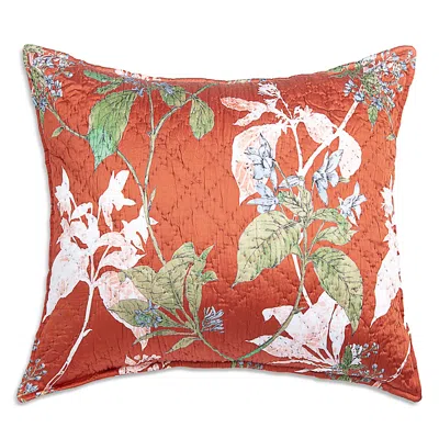 Amity Home Fitzgerald Euro Sham In Brown