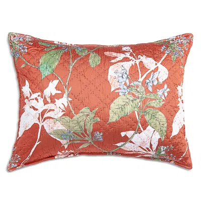 Amity Home Fitzgerald King Sham In Brown