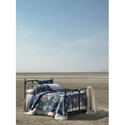 Amity Home Fitzgerald Quilt, Brick, Oversize In Navy Floral
