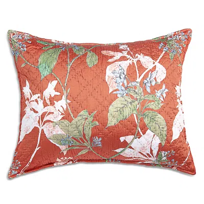 Amity Home Fitzgerald Standard Sham In Brown