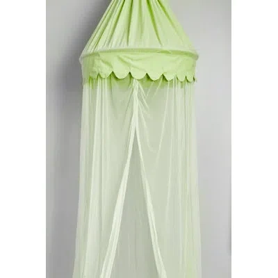 Amity Home Hook & Loop Fastener Bed Canopy In Green