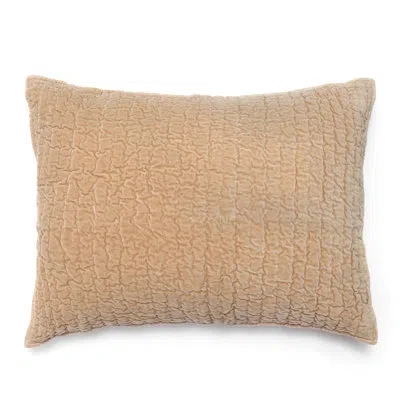 Amity Home Ian Cotton Sham In Khaki