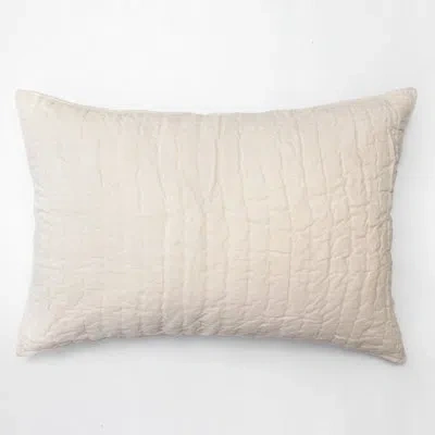 Amity Home Ian Cotton Velvet Sham In Ivory