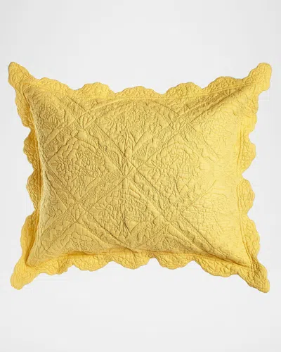 Amity Home King Zella Sham In Gold