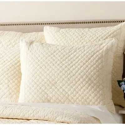 Amity Home Marcel Euro Sham In Ivory