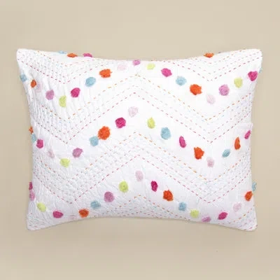 Amity Home Medeleen Chevron 100% Cotton Sham In Multicolor