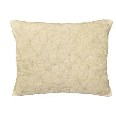 Amity Home Sea Shell Standard Sham
