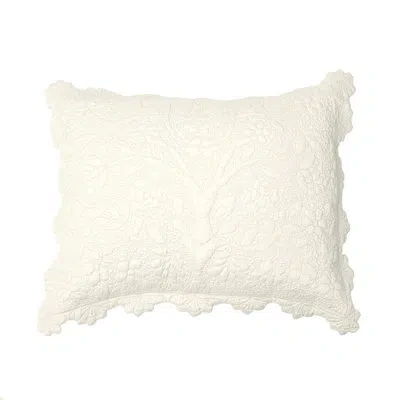 Amity Home Shantoon Sham In White;ivory