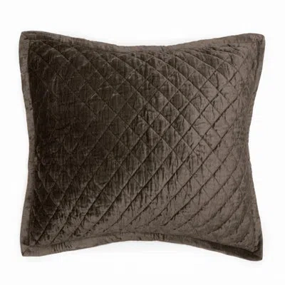 Amity Home Sienna Solid Color Cotton Blend Sham In Ash Gray