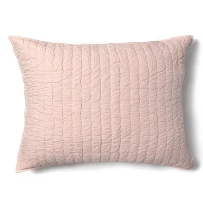 Amity Home Tamara Sham In Pink