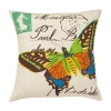 Amity Home Butterfly Flight Decorative Pillow