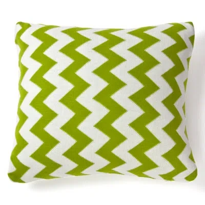 Amity Home Zig Zag Indoor/outdoor Cotton Throw Pillow In Green