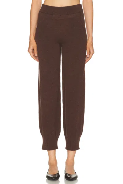 Amiya Heritage Travel Pant In Brown
