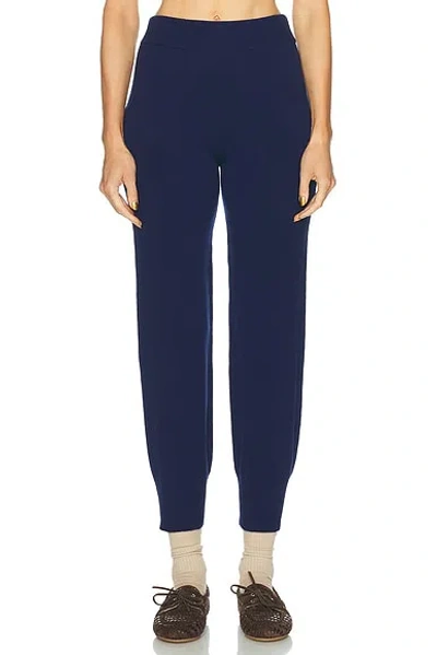 Amiya Heritage Travel Pant In Dark Blue