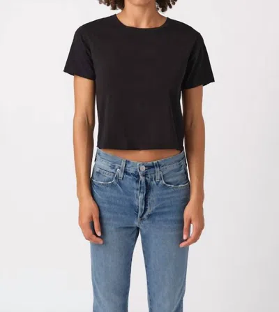 Amo Babe Cropped Tee In Black