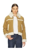 Amo Denim Betty Shearling Jacket In Brown