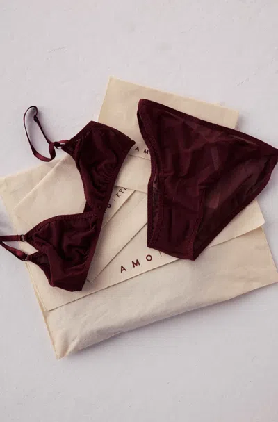 Amo Denim The Intimates Duo In Brown