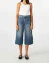 Amo Gabriela Culotte High-rise Wide-leg Jeans In Multi