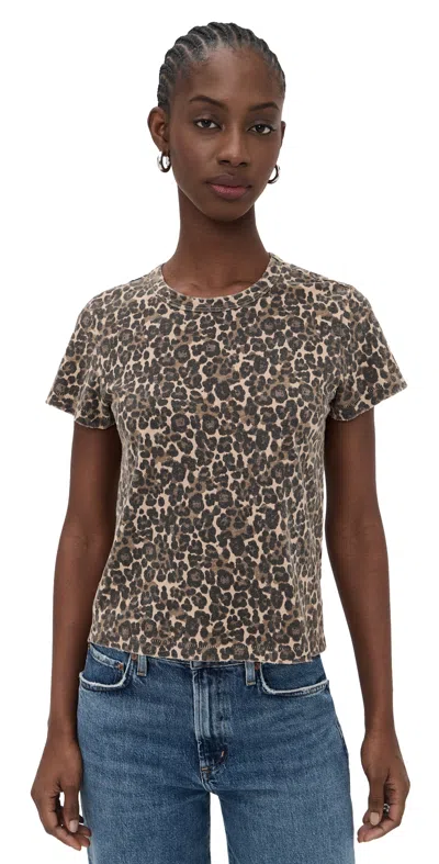Amo Leopard Love Tee Leopard In Brown