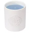 Amoln Cold Rose Candle In N,a