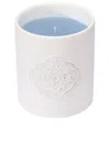 Amoln Figmalion Candle In N,a