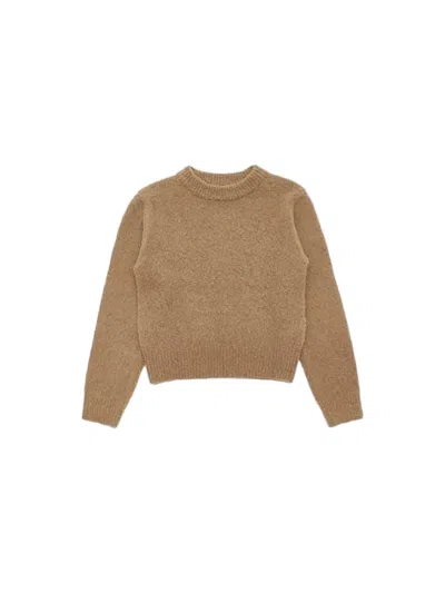 Amomento Cropped Sweater With Fuzzy Texture In Brown