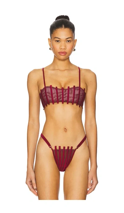 Amor Mia Corset Bikini Top