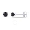 Amour 1/2 Ct Tw Black Diamond Stud Earrings In 14k White Gold In Black