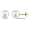 Amour Ladies White Freshwater Cultured Pearl Stud Jms003116 In Gold / White / Yellow