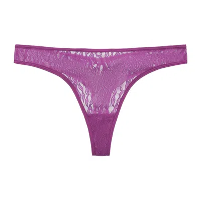 Amour D'agnette Women's Julie Lace Thong - Purple
