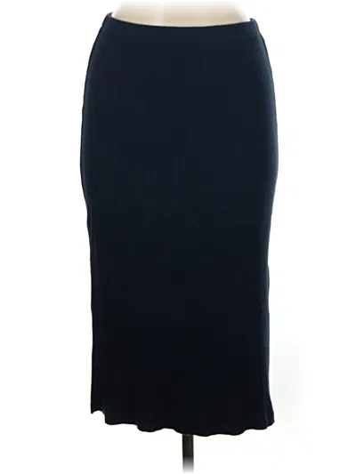Pre-owned Amour Vert Formal Skirt In Blue