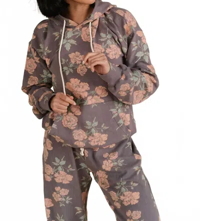 Ampersand Ave University Hoodie In Tickle My Fancy In Brown