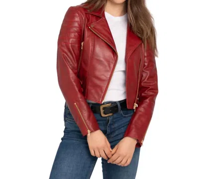 Amsterdam Heritage Eureka Leather Biker Jacket In Red