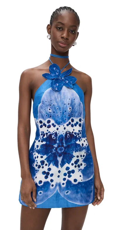 Amur Everlee Orchid Print Mini Dress Cobalt Orchid In Blue