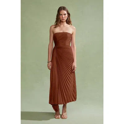 Amur Everyn Pleated Gown In Brown