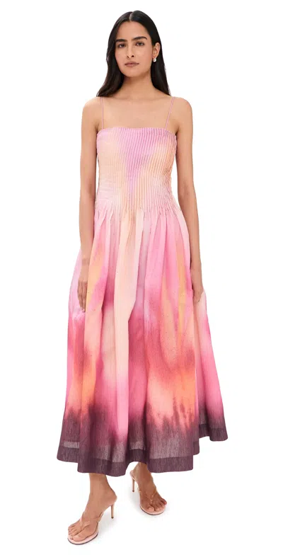Amur Grecia Pleated Dress Flora In Focus In Multi