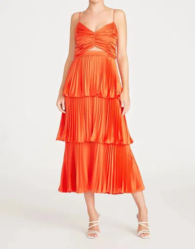 Amur Lulla Pleated Midi Dress In Poppy Field In Pink