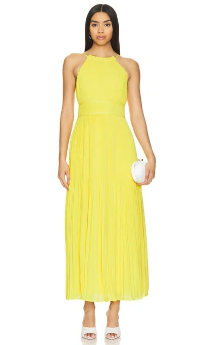 Amur Women's Garren Pleated Maxi Dress In Sunlight