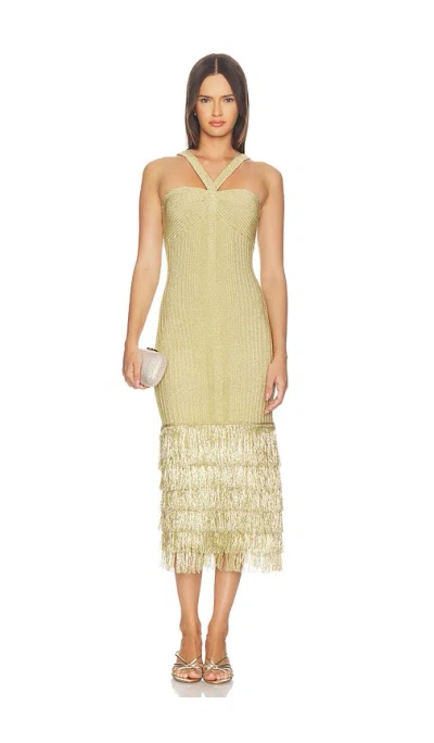 Amur Rosalina Knit Midi Dress In Gold