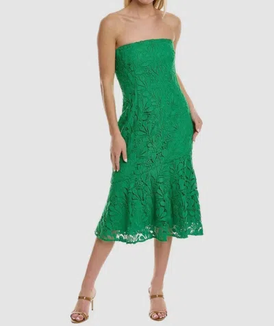 Amur Strapless Guipure Lace Midi Dress In Green