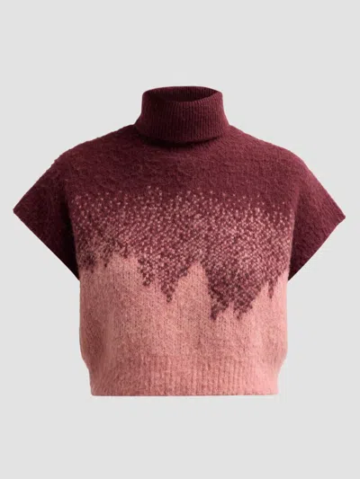 Amur Women's Harper Ombré Sweater In Deep Carmine Monarch