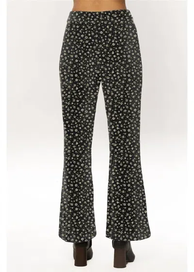Amuse Society Forever Mine Woven Pant In Blk In Pattern