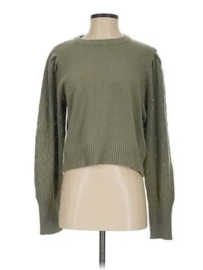 Pre-owned Amuse Society Pullover Sweater In Green