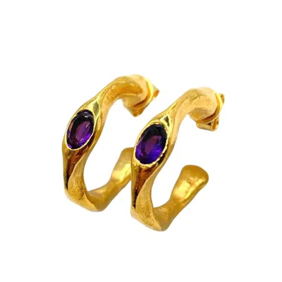 Amy Delson Jewelry Women's Pink / Purple / Gold Harlow - Amethyst Gold Hoop Earrings In Multi