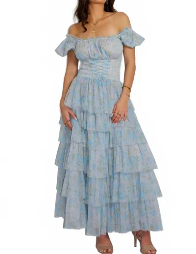 Amy Jane London Arabella Maxi Dress In Blue In Animal Print